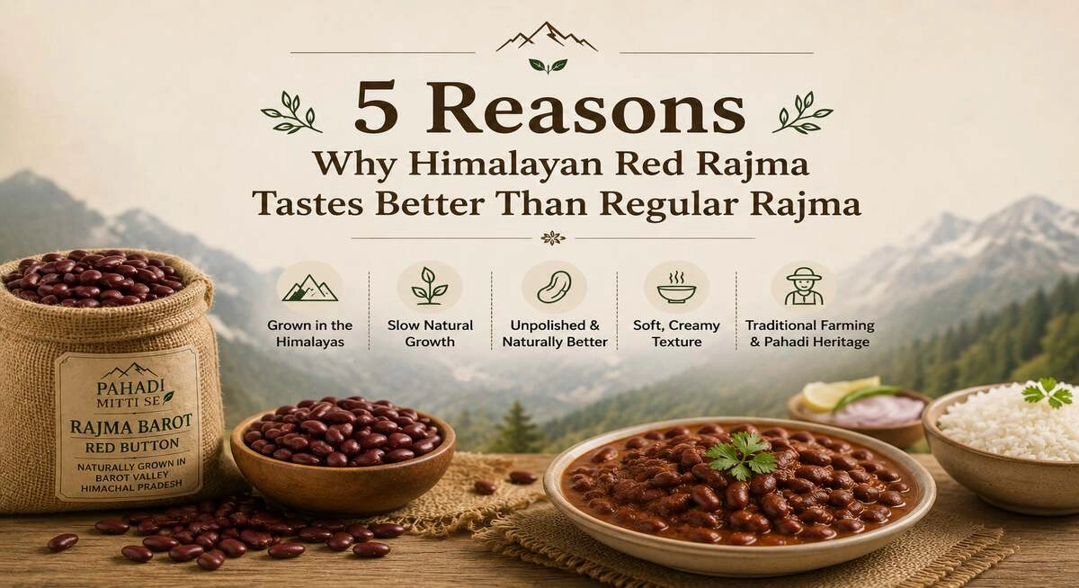 5 Reasons Why Himalayan Red Rajma Tastes Better Than Regular Rajma