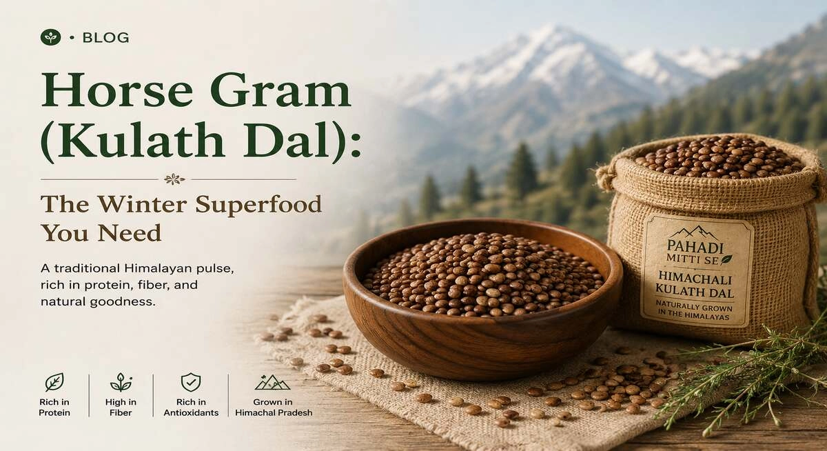 Horse Gram (Kulath Dal): The Winter Superfood You Need