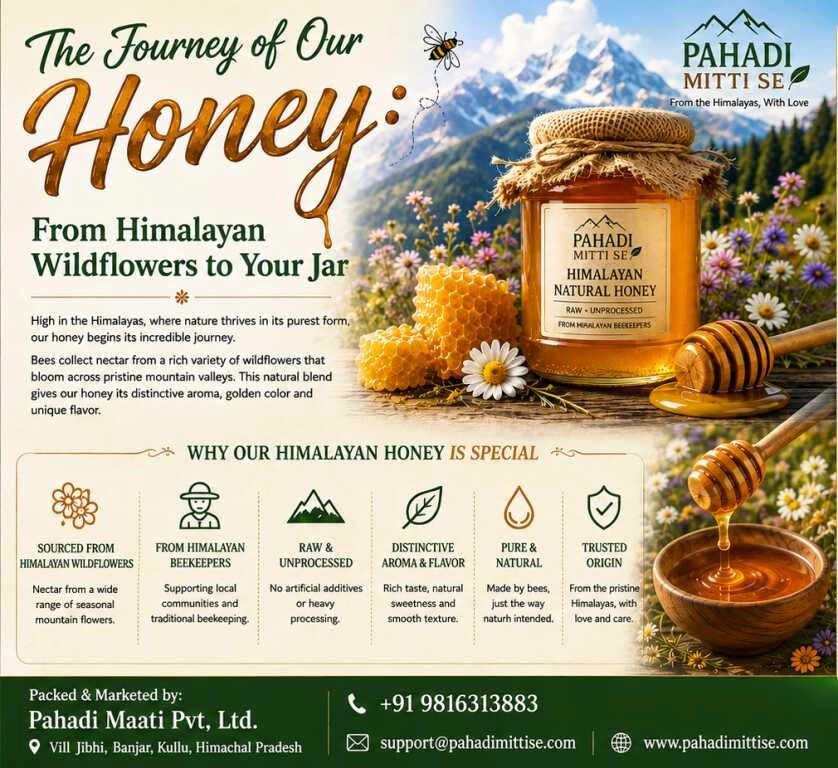 The Journey of Our Honey: From Himalayan Wildflowers to Your Jar