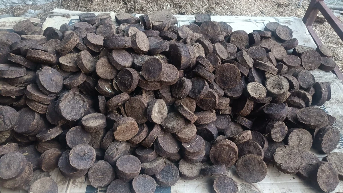 Cow Dung Cake 3 inches and 4 inches with bunch of 30 cakes